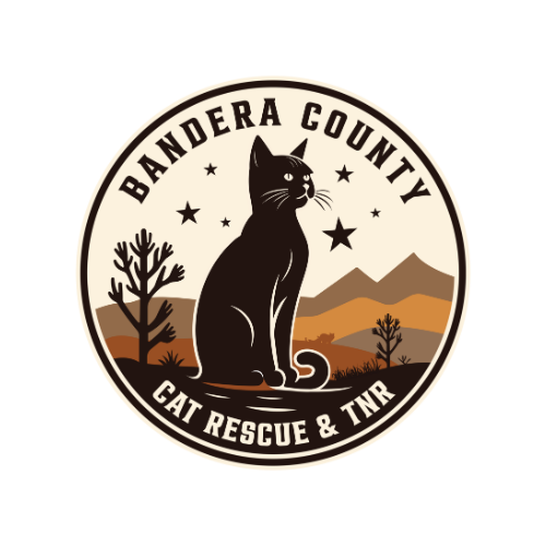 Bandera County Cat Rescue and TNR